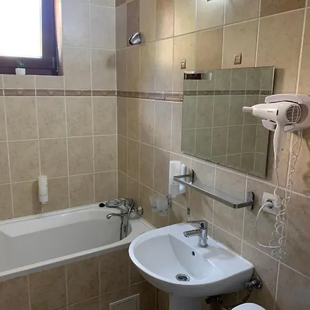 Guest house Pensiunea Korona